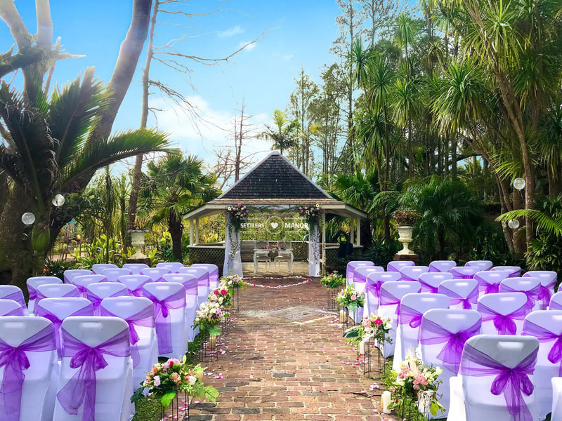 Wedding Ceremony